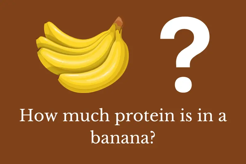 Answering the question: How much protein is in a banana?