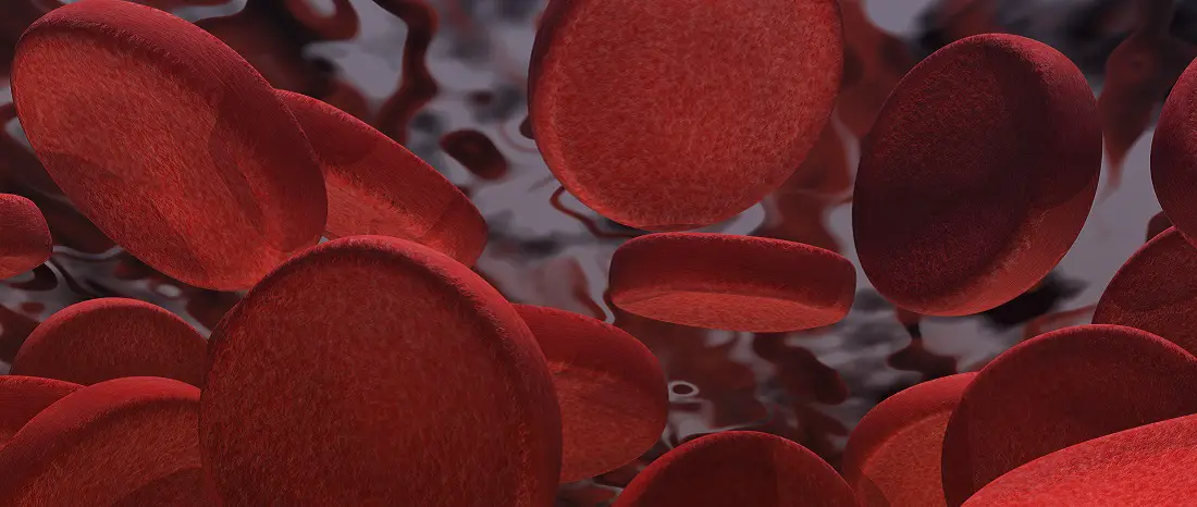 Find out just how much blood is in your body
