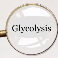 Where does glycolysis take place?