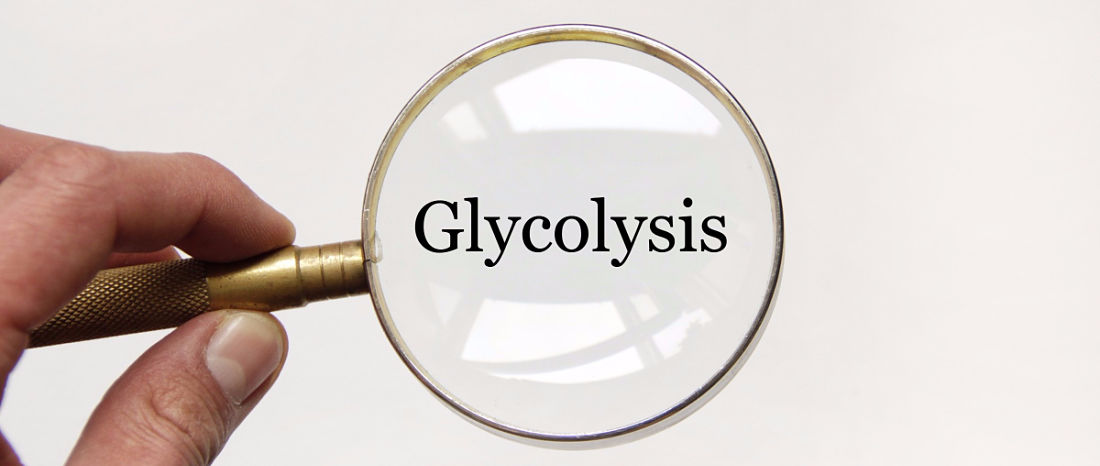 Answering the question: where does glycolysis take place?