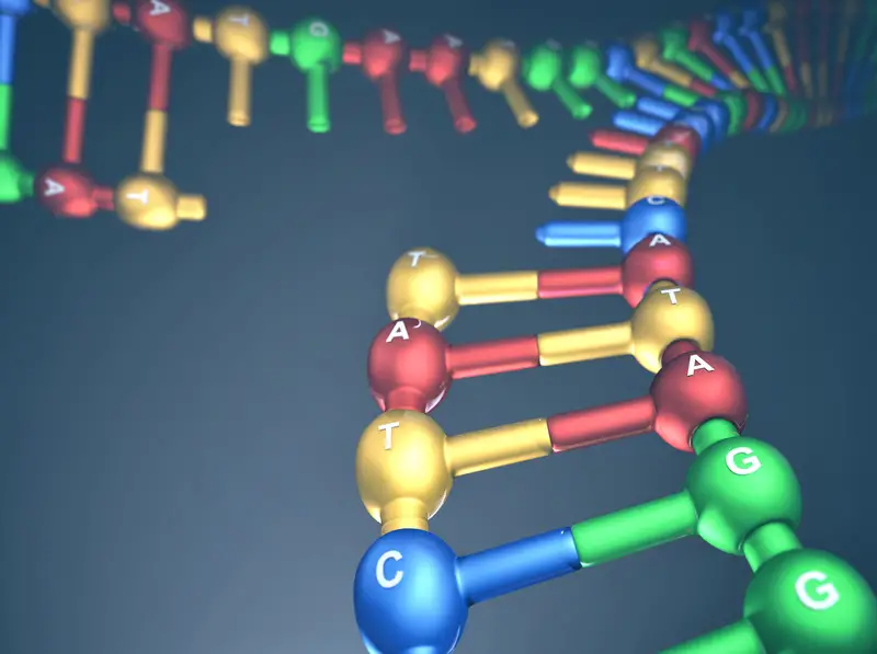 Answering the question, Why is DNA replication important?