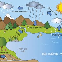 Why is the water cycle important?