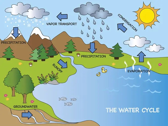 Answering the questions, what is the water cycle and why is the water cycle important?