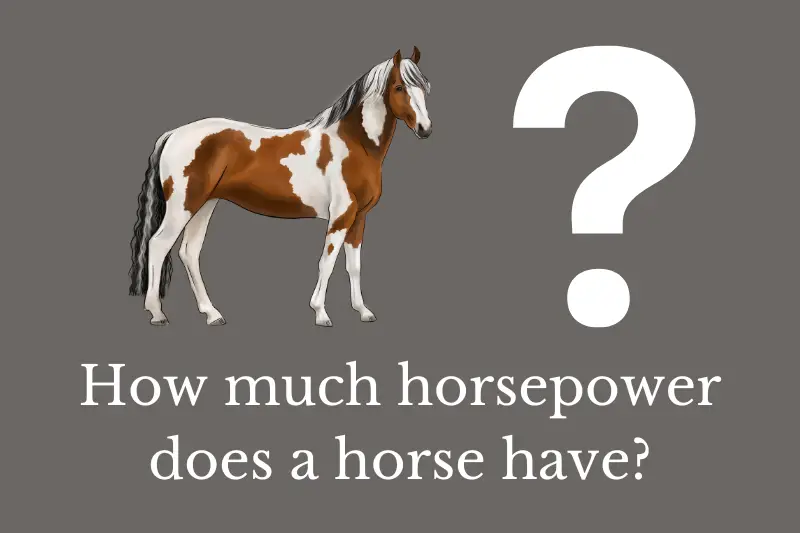 Answering the question: how much horsepower does a horse have?