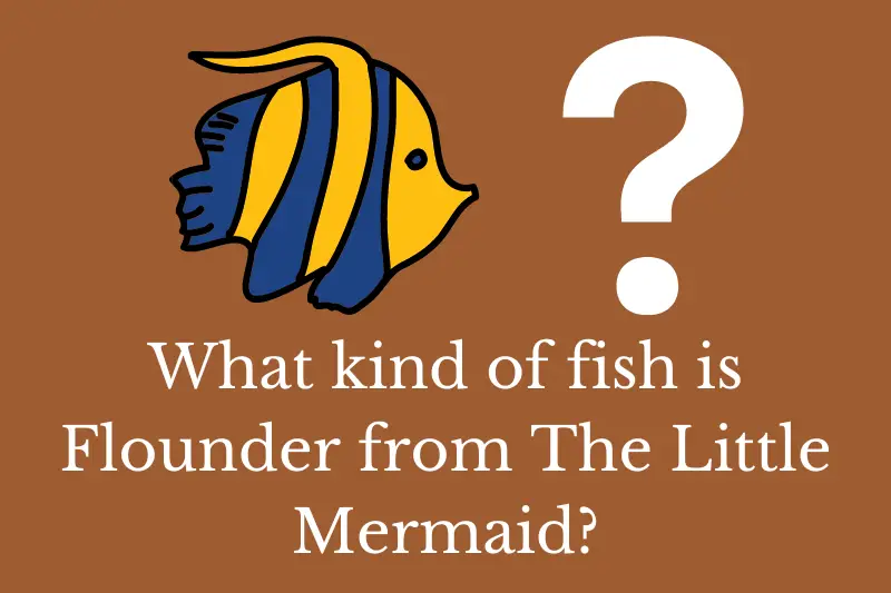 Answering the question: What kind of fish is Flounder from The Little Mermaid?