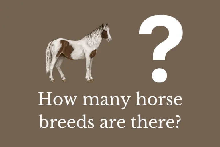 How many horse breeds are there? | Quick Answer