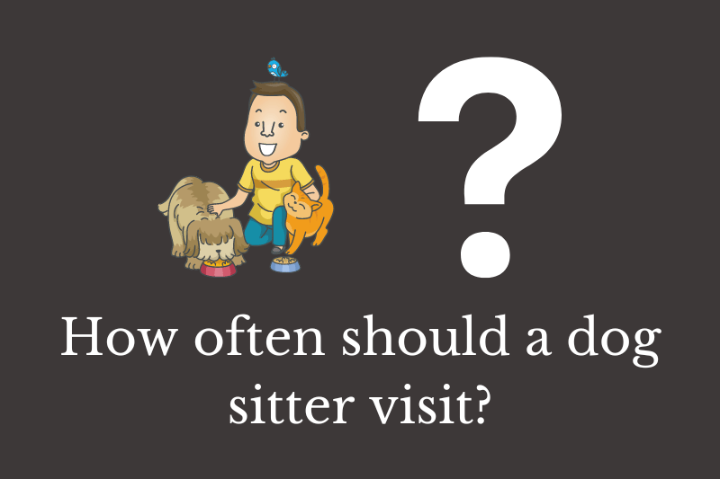 Answering the question: How often should a dog sitter visit?