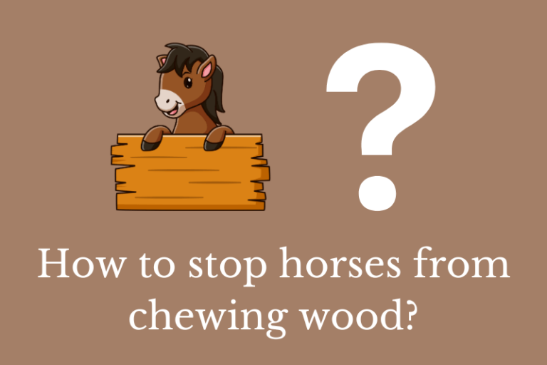 How to stop horses from chewing wood? Quick Answer