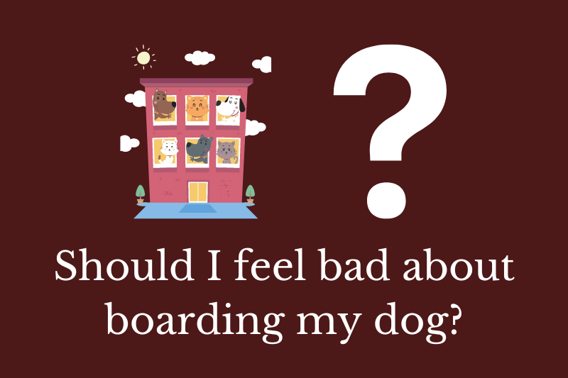 Answering the question: Should I feel bad about boarding my dog?