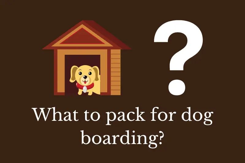 Answering the question: What to pack for dog boarding?